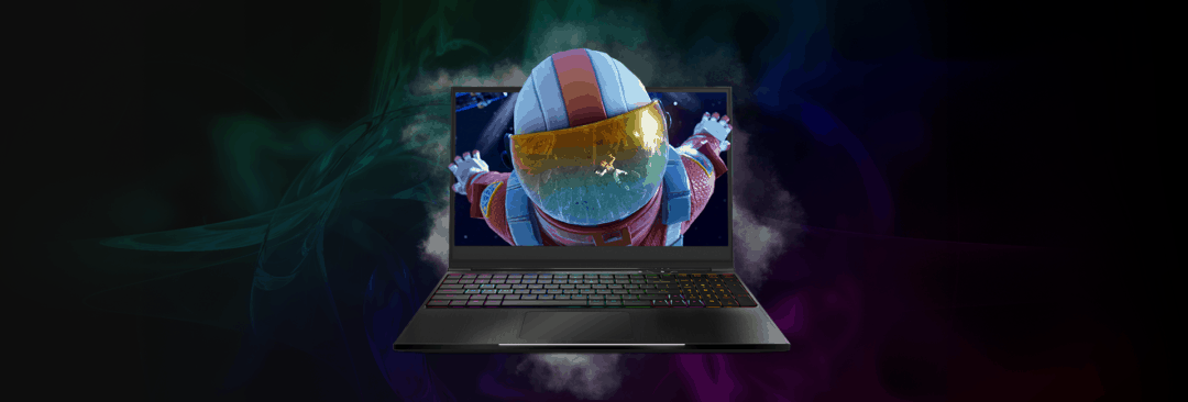 The Resistance Striker GTX 1050 Laptop