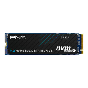 PNY M280CS2241-1TB-CL