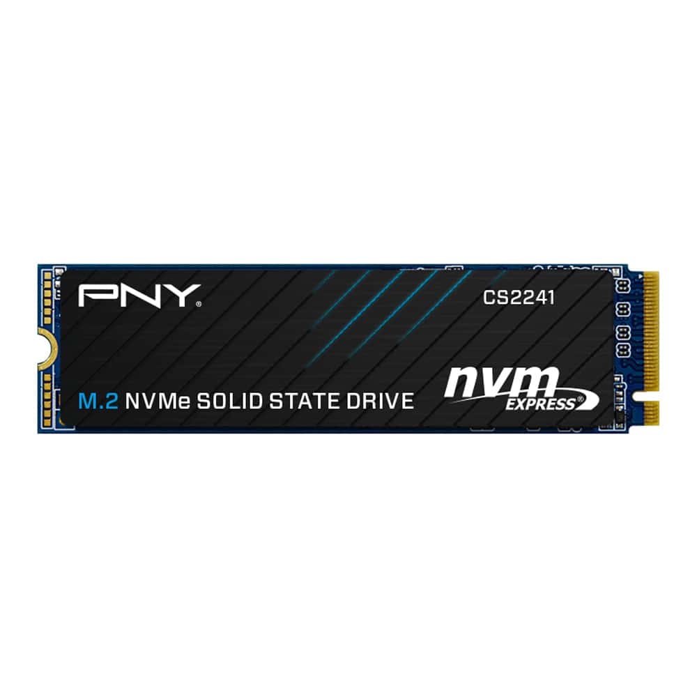 PNY M280CS2241-1TB-CL