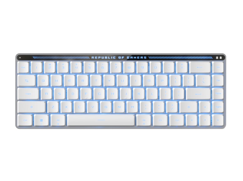 ASUS ROG FALCHION RX LOW PROFILE BLUE SWITCH