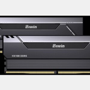 BIWIN BXH53260HX1-D36DB