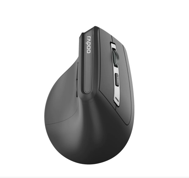 Rapoo EV310M