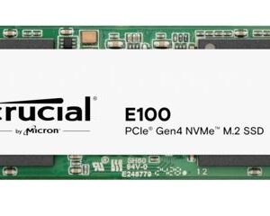 Micron (Crucial) CT1000E100SSD8